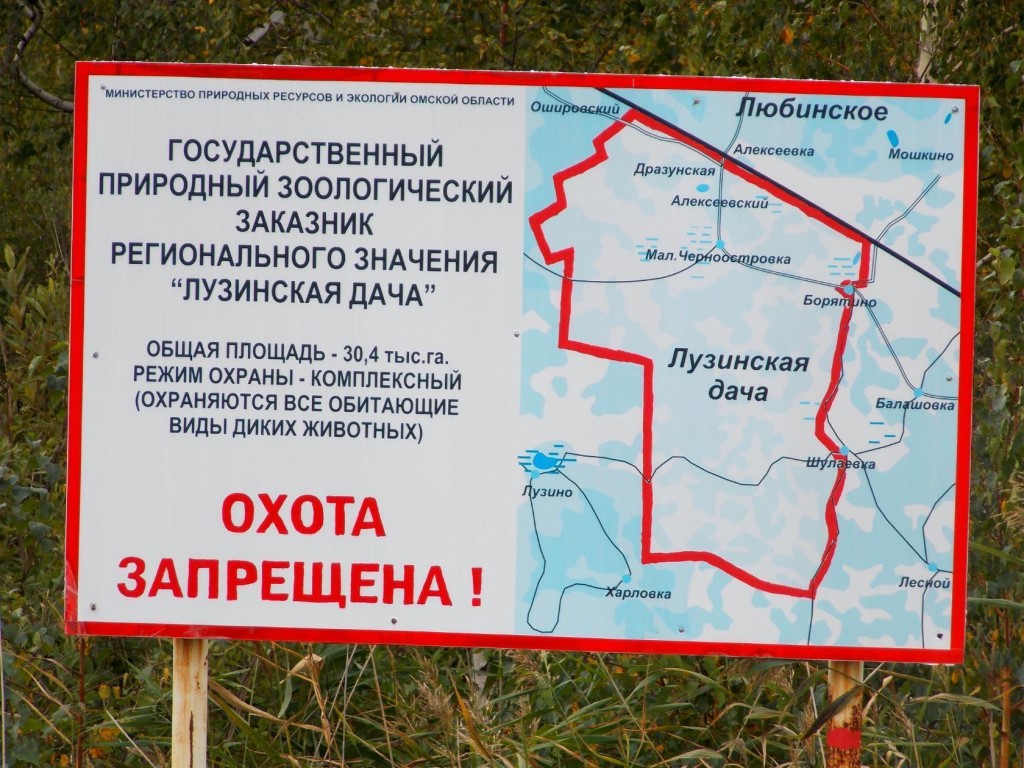 «Лузинская дача»
