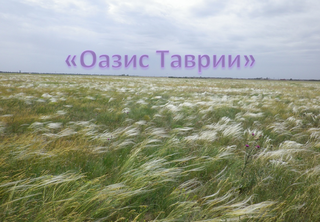 «Оазис Таврии»