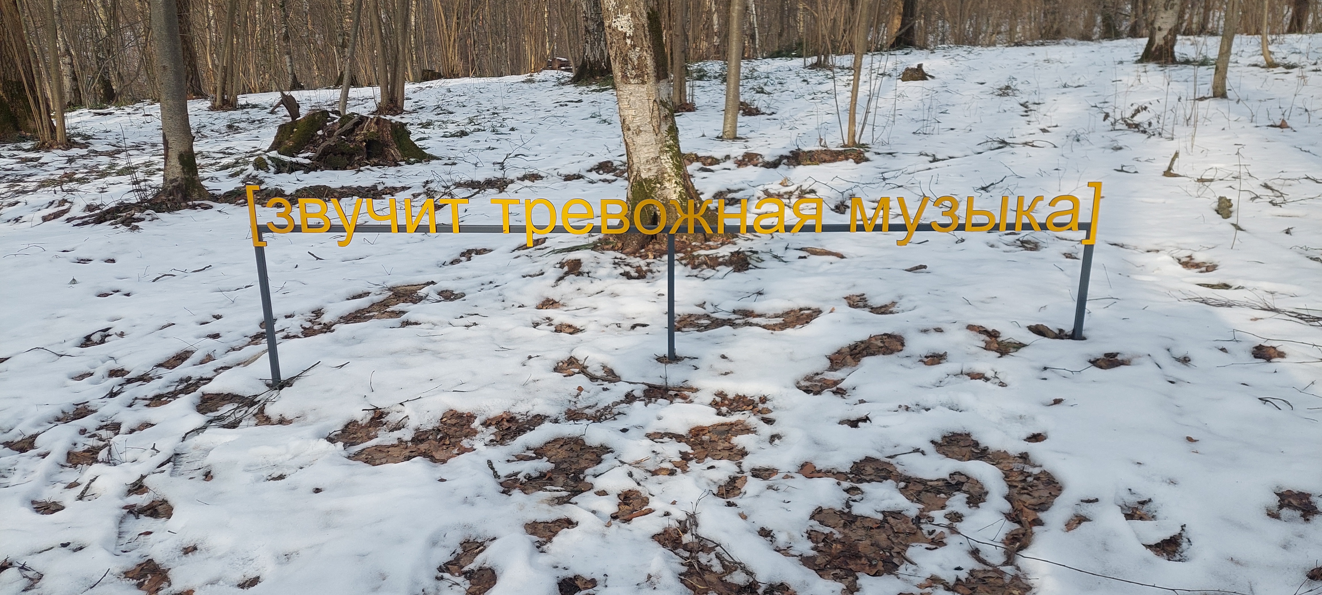 /upload/iblock/1cc/21zmdmglhxcfohasofy0mmbu4q8p8enr.jpg