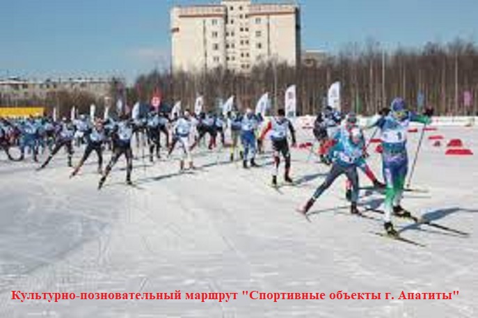Спортивные объекты г. Апатиты