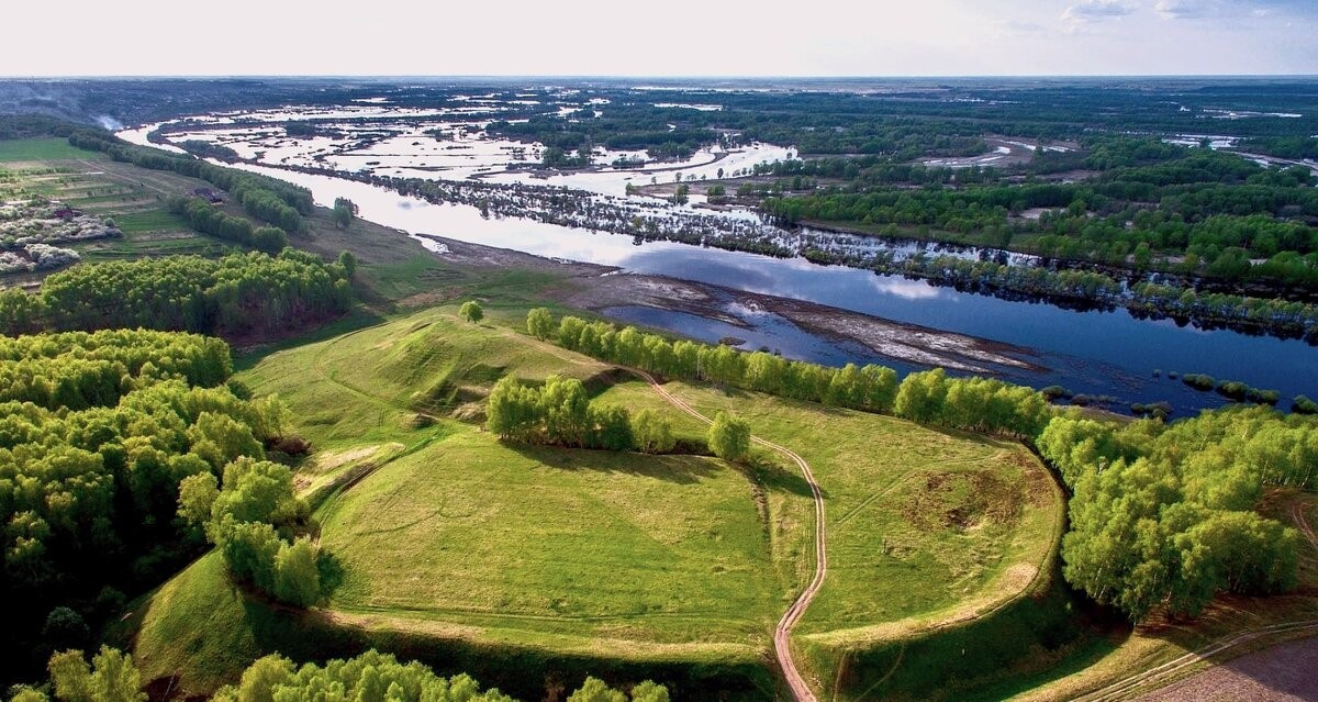 «По Ярополчскому бору»