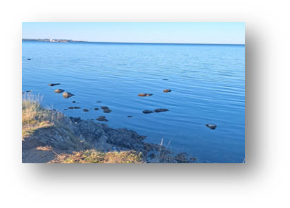 /upload/iblock/2d6/mtic05tlp3mcrqsl4mlvlcw65032ud0z.png