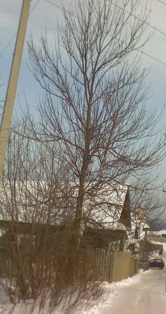 /upload/iblock/31f/xwd8gs6dzgb8gmsahn3eea0d6ilv3l4j.jpg