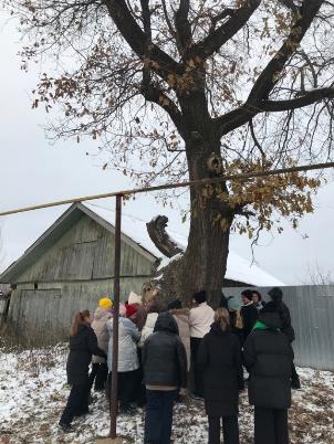 Экскурсия «Обними дерево» (село Июльское Воткинский район)