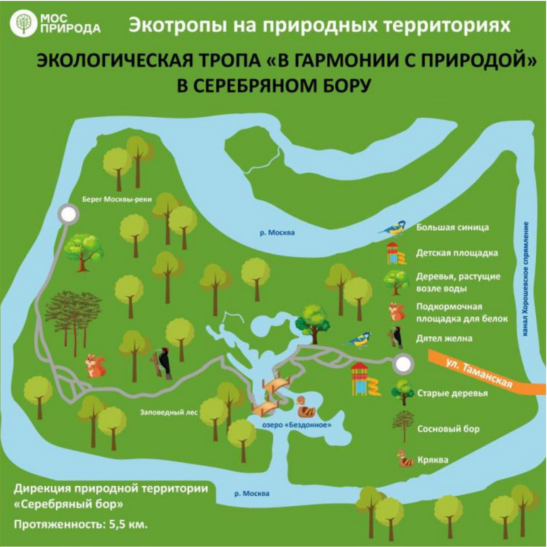 «Экологические тропы памятника природы регионального значения «Серебряный Бор»