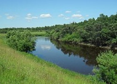 Дорогой памяти