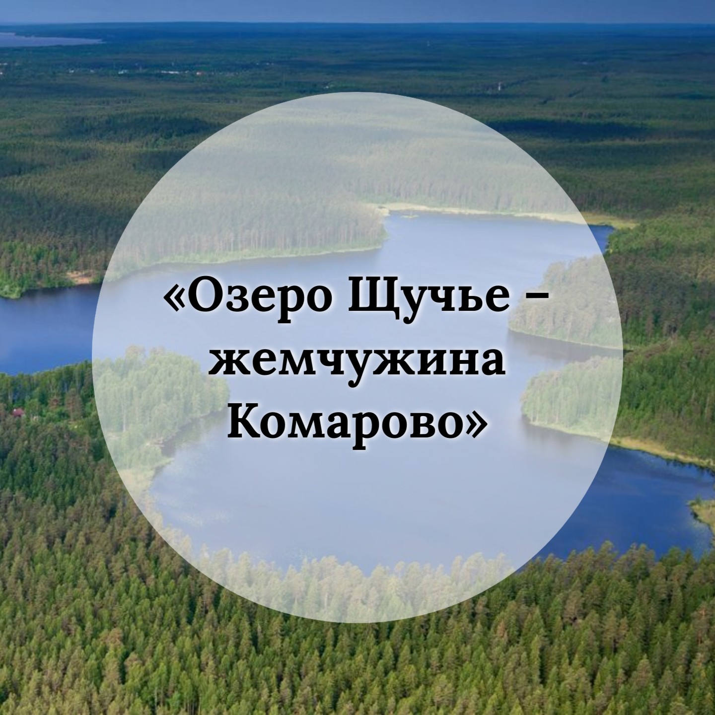 Школьный образовательный маршрут – «Озеро Щучье- жемчужина Комарово» по территории государственного природного заказника «Щучье озеро»