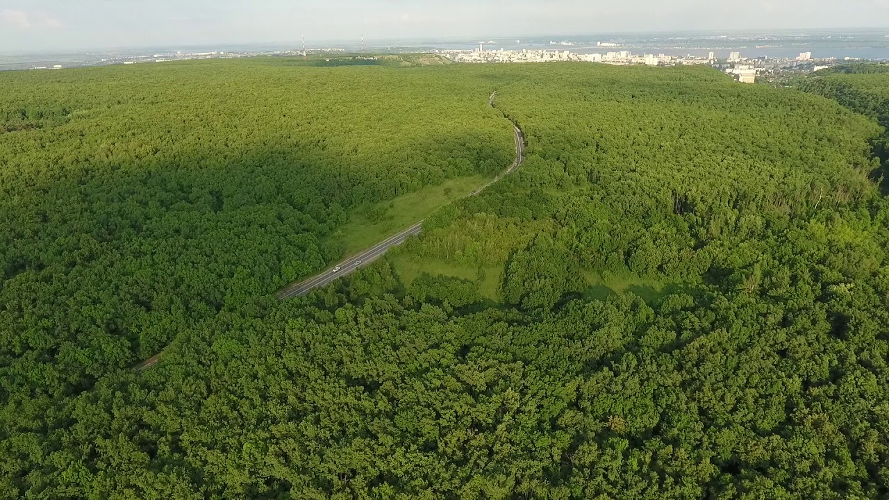 ФЛОРА И ФАУНА КУМЫСНОЙ ПОЛЯНЫ