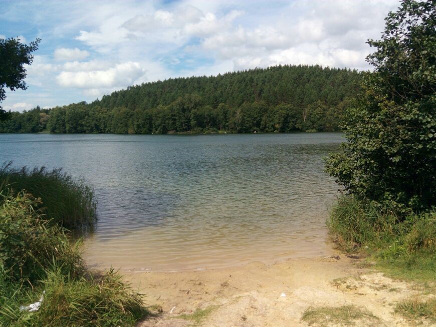 /upload/iblock/594/f9zrh0zl3j18mhjjl38olso9j8xg3zmi.jpg
