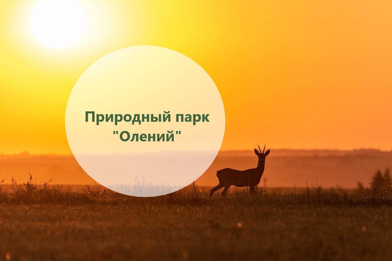 Познавательный маршрут  «Природный парк «Олений»