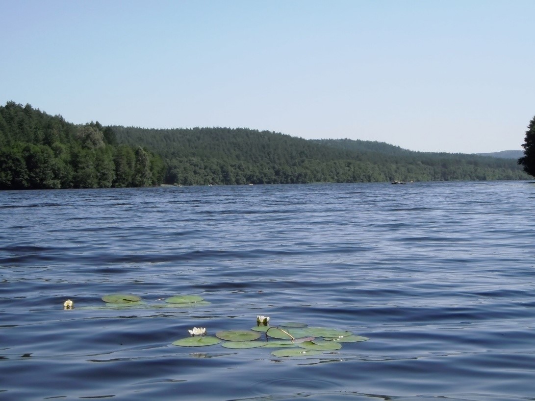 /upload/iblock/65a/0h02c869h6qb88abvnfdyzjs4q5jl2om.jpg