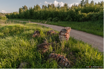 «Уголок России – милое село» (Борисоглебский МР)