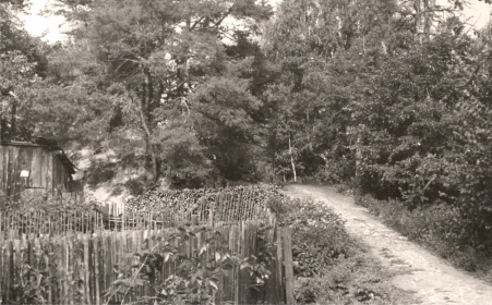 /upload/iblock/8a0/zzoicofe1rfixm1ob8drvfdnpuimtxe3.png