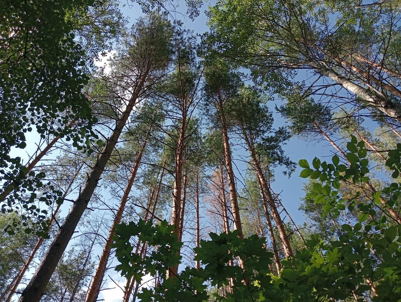 Экотропа - Усть-Бельск