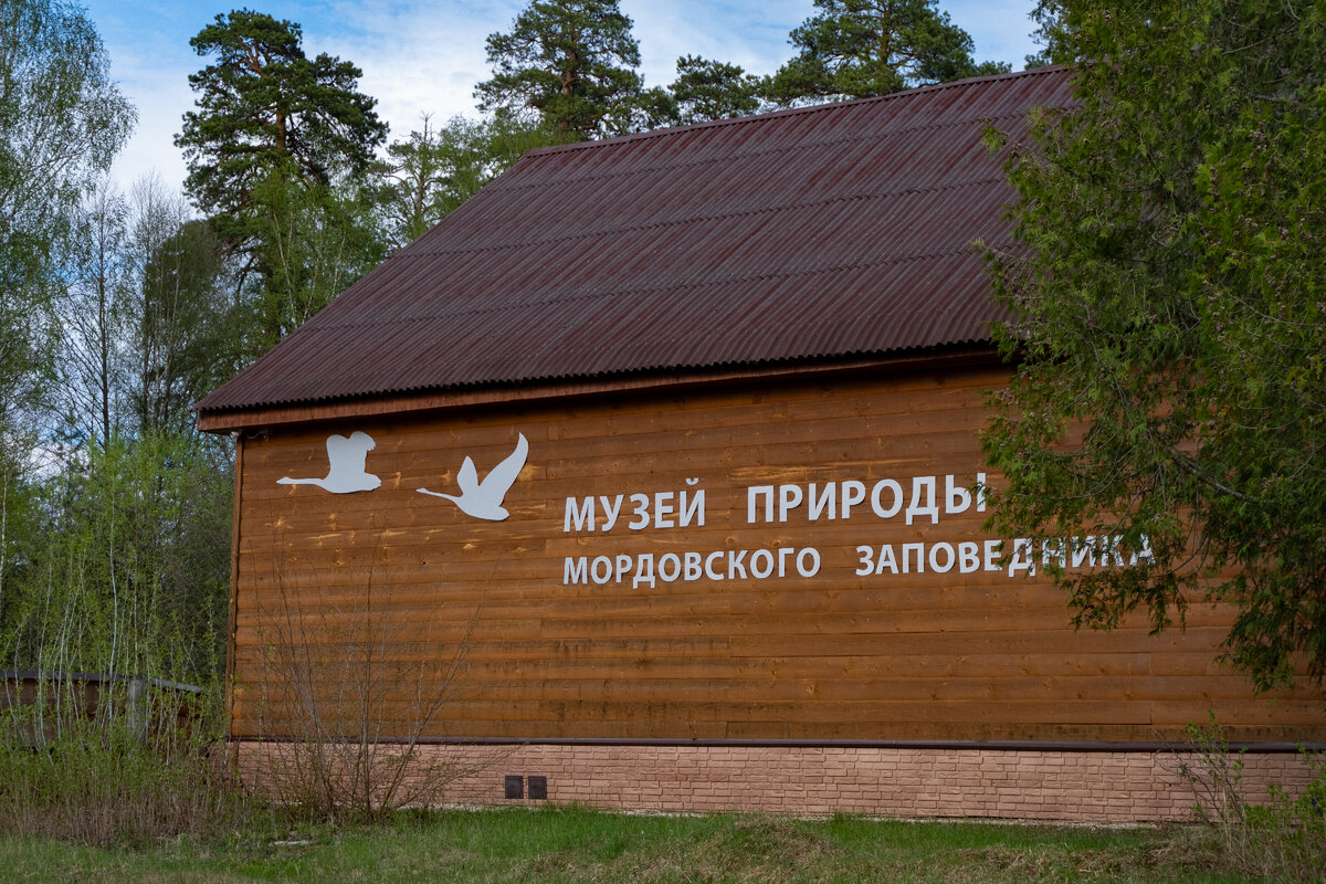  Экскурсия по заповеднику им. П.Г. Смидовича
