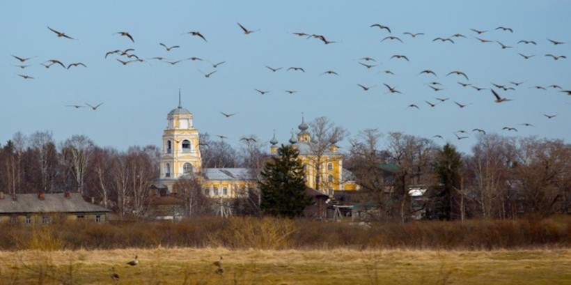 "Тропинками родного города"