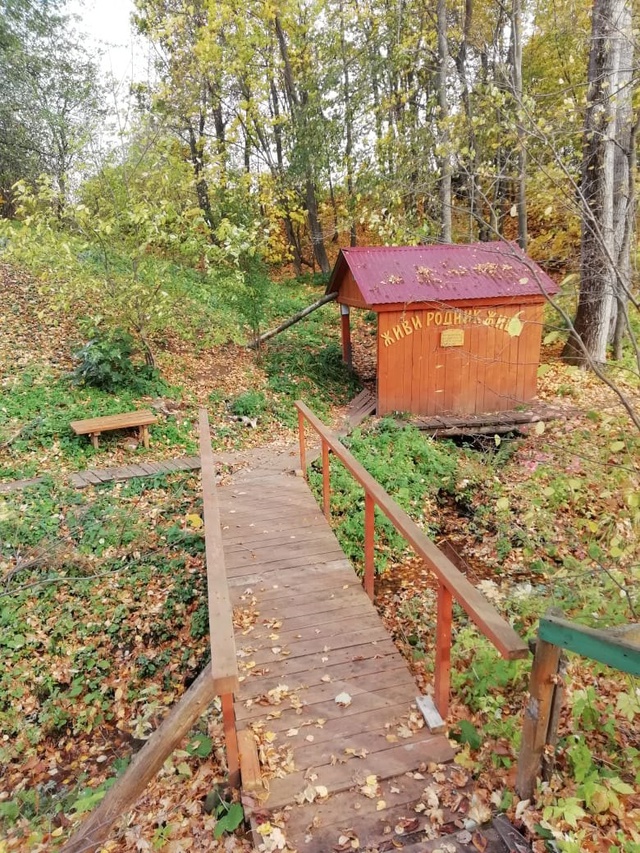 Услада для души. Алнашский район