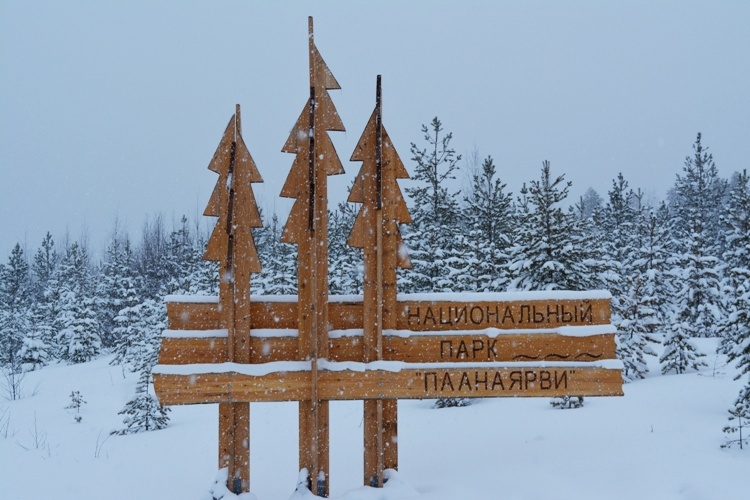 «Национальный парк Паанаярви»