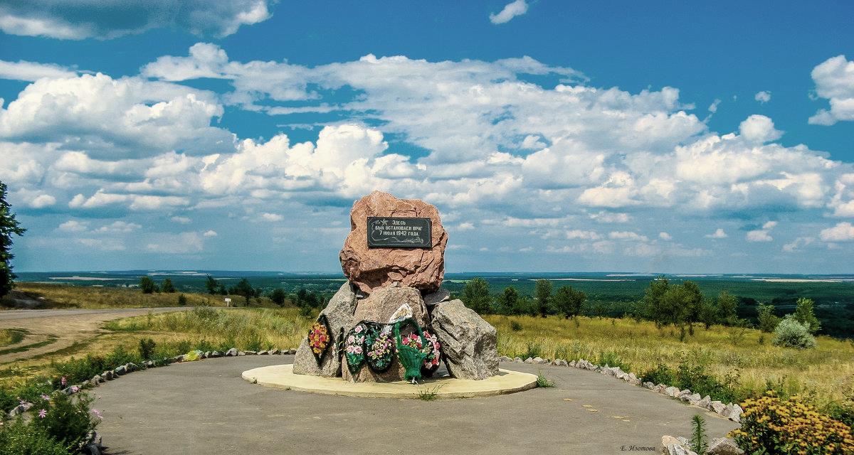 Донские просторы