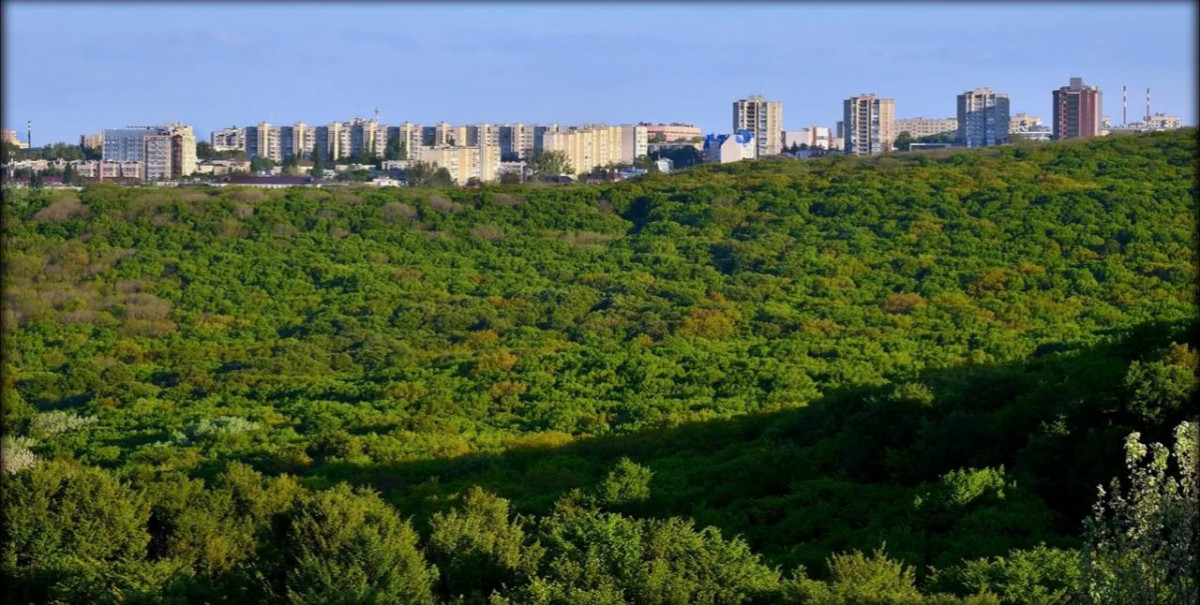 Таманский лес