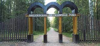 «Экологическая экскурсия  в заказнике "Линдуловская роща"