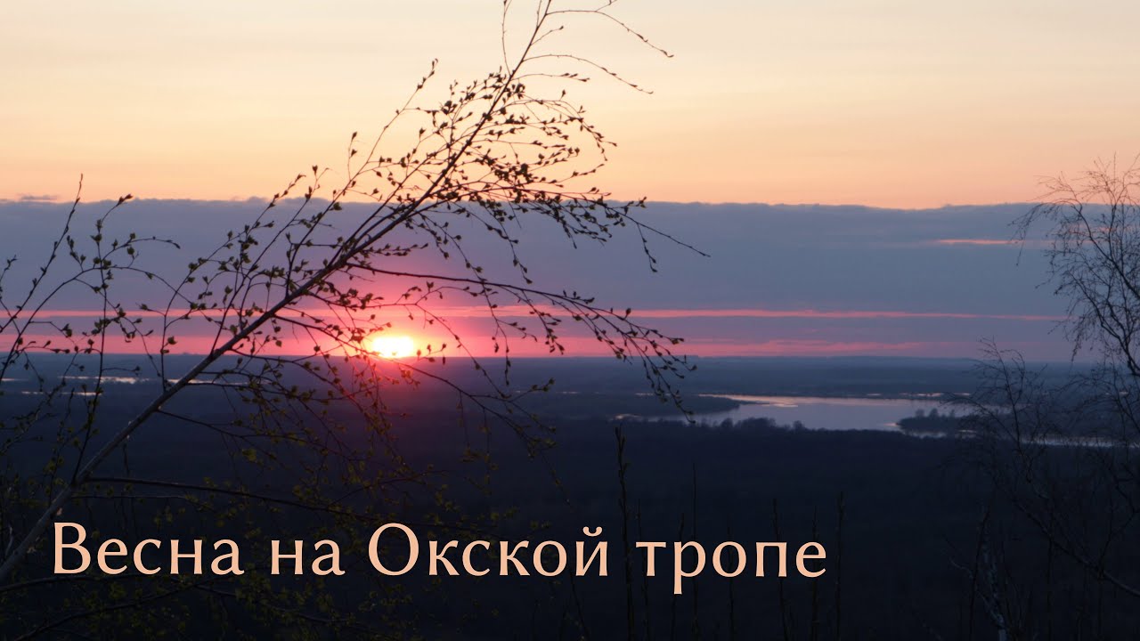 /upload/iblock/bfc/ri8png9pams86dpc6f7ufhh26zwad2of.jpg