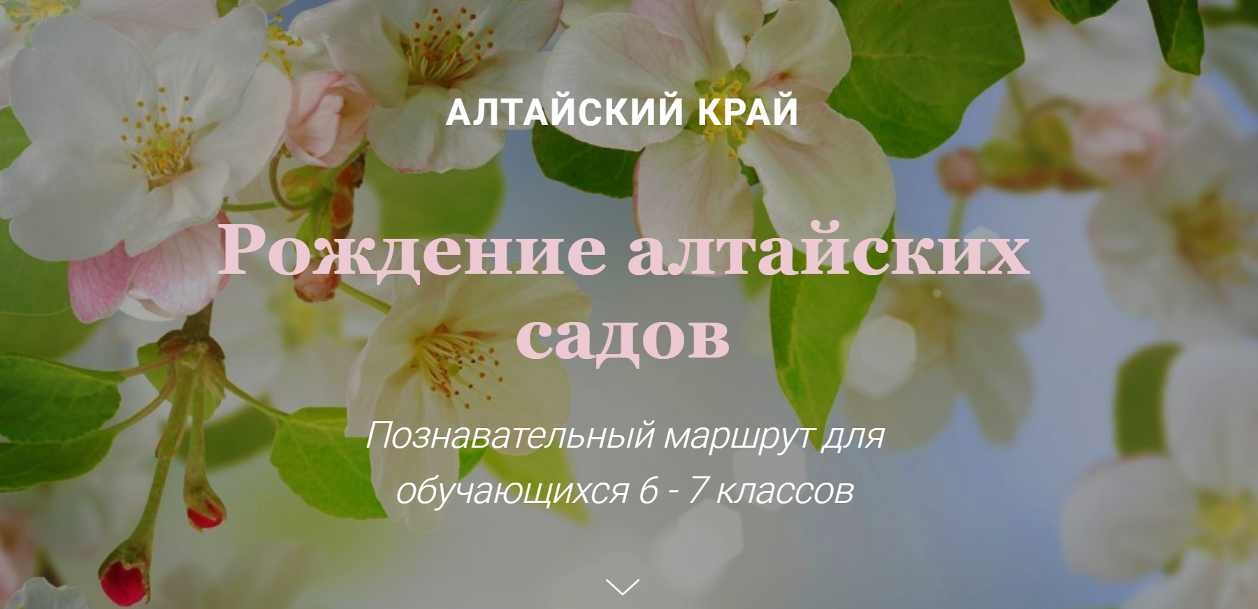 Рождение алтайских садов Познавательный маршрут для обучающихся 6 - 7 классов