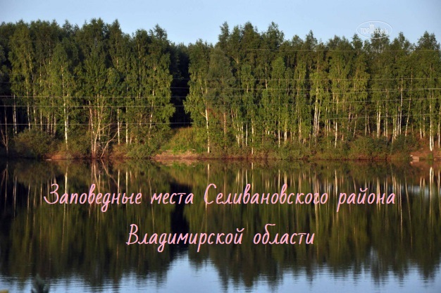 Заповедные места Селивановского района Владимирской области
