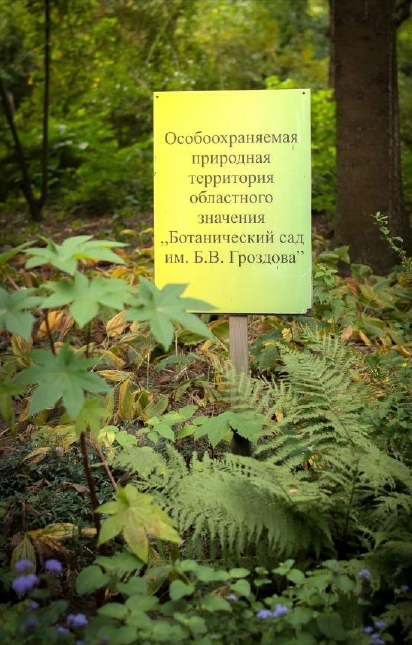 /upload/iblock/d4e/by0x5dxzaoo40tqbmu00dfl1adhagiav.jpg
