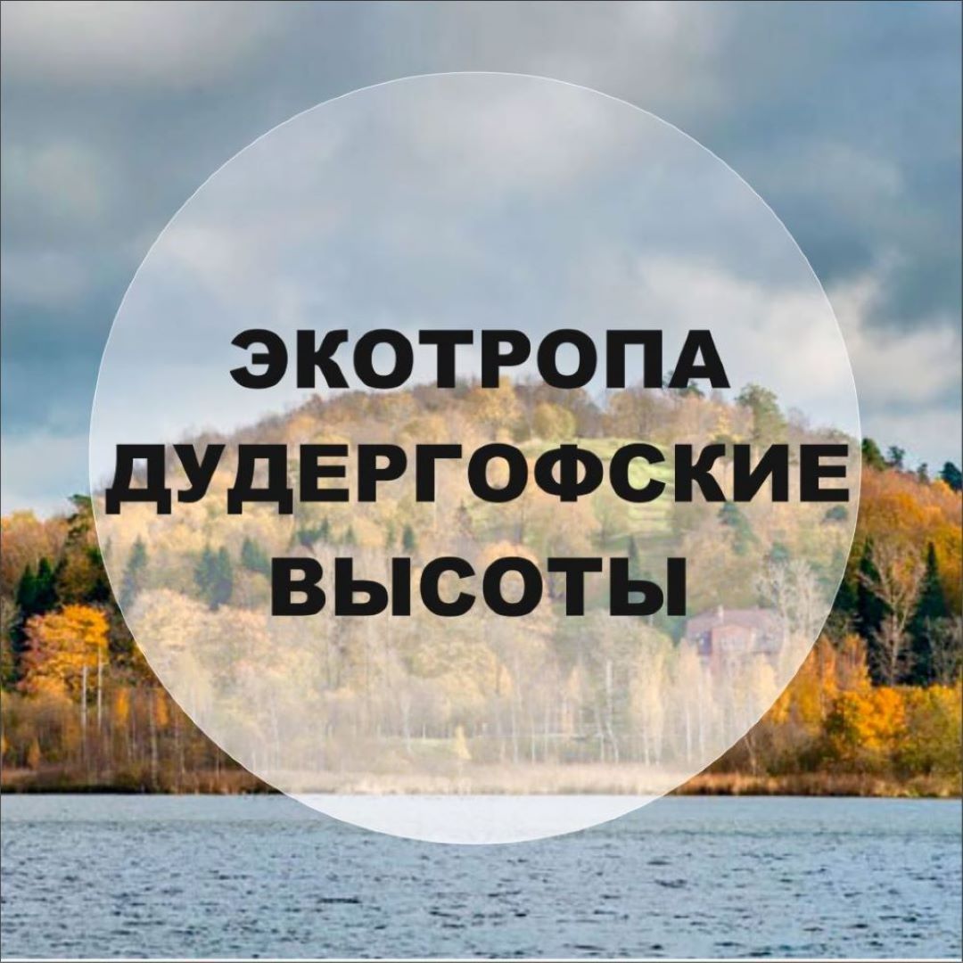 В память о защитниках Родины