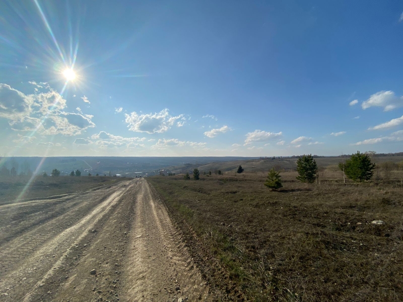 В гости к бобрам