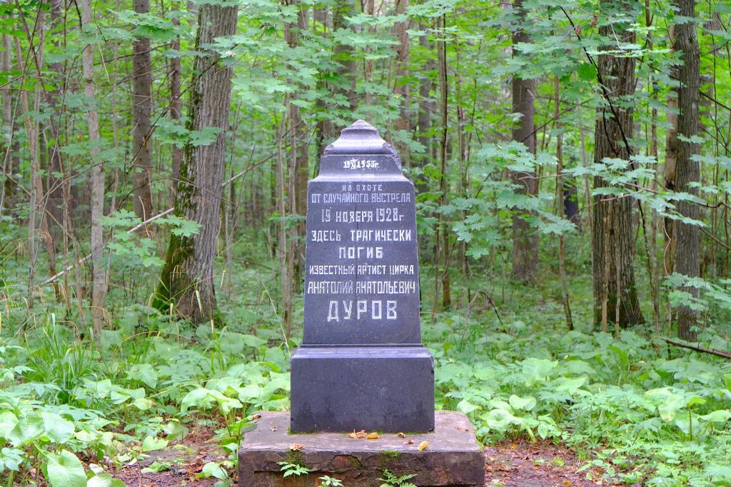 Дуровская грань