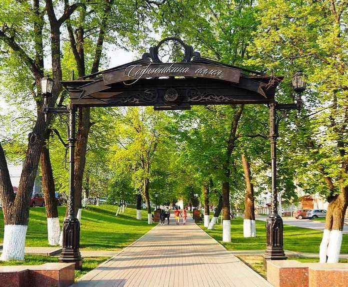 «Софьюшкина аллея: страницы истории»