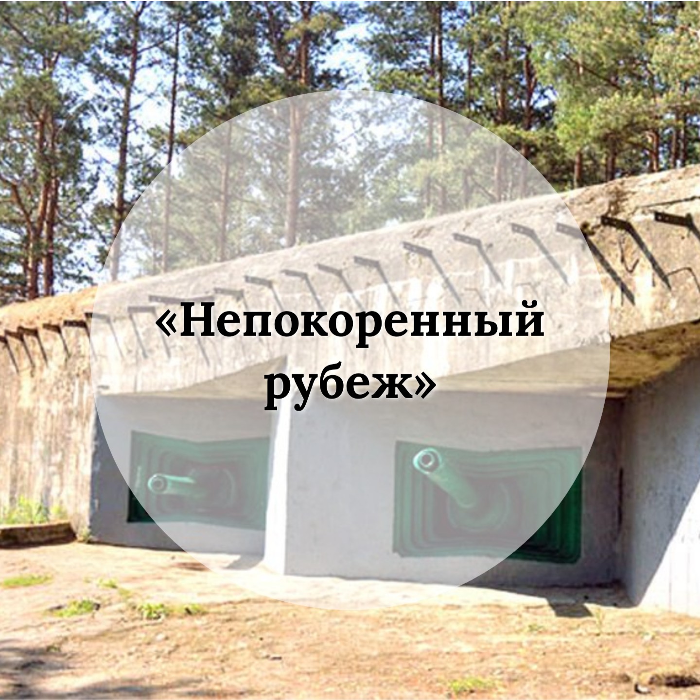  Пешеходный познавательный маршрут «НЕПОКОРЕННЫЙ РУБЕЖ» по выставочному комплексу «Сестрорецкий рубеж» 