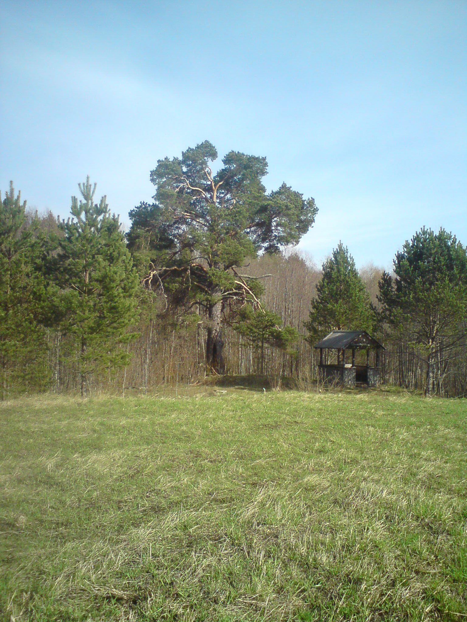 /upload/iblock/ff5/tmecs77jfkc5d97dle32yqlk6odlodu5.JPG